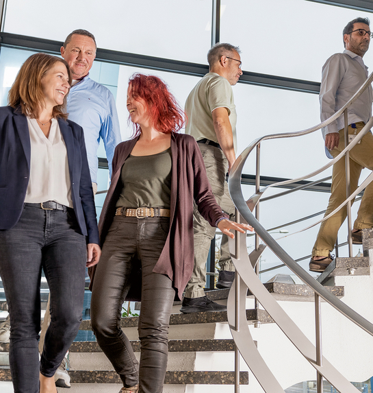 Eine Gruppe von Arbeitskolleginnen und Arbeitskollegen laufen eine Wendeltreppe hinab