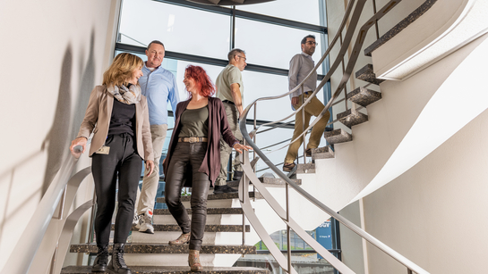 Eine Gruppe von Arbeitskolleginnen und Arbeitskollegen laufen eine Wendeltreppe hinab